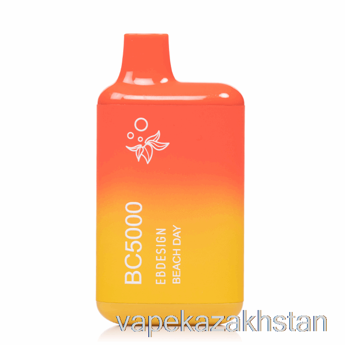 Vape Kazakhstan BC5000 Disposable Beach Day